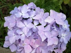 -云漫湖生态度假公园