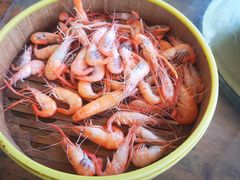 -百里鲜(羚羊峡古栈道森林公园店)