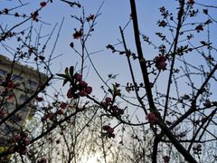 -利顺德大饭店·维多利亚花园(小白楼店)