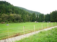 -武陵山森林公园