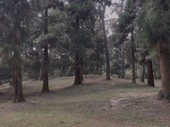 -杭州植物园