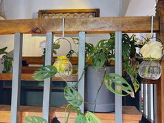 -蓝壁虎咖啡酒馆