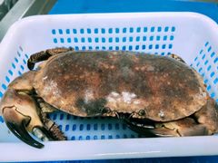 -西安高新希尔顿酒店·咖啡露台西餐厅