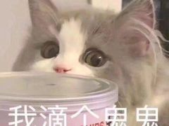 -武汉光谷K11