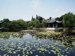 -无锡蠡湖国家湿地公园-蠡园