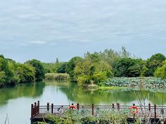 -西溪国家湿地公园