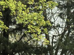 -月坛公园