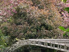 -南汇桃花村