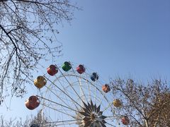 -西安市长乐公园