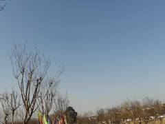 -两河城市森林公园