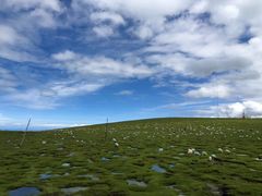 -青海湖国家重点风景名胜区