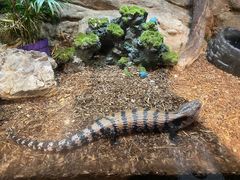 -成都浩海立方海洋公园