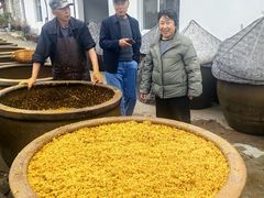 -苏州市吴中区光福窑上花果蜜饯厂