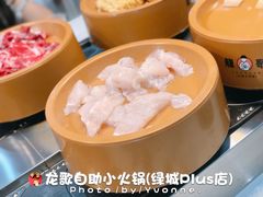 -龍歌自助小火锅(李沧丽达店)