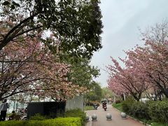 -灞河西岸滨河公园