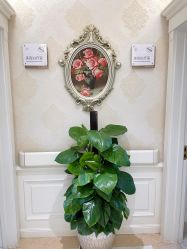 -圣嘉新医疗美容医院