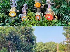 -广州长隆野生动物世界