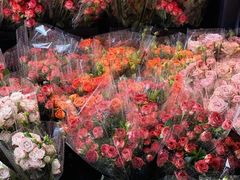 -循礼门鲜花花市(武汉循礼门店)