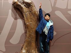 -桂林博物馆