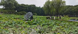 -玄武湖景区-情侣园游乐场