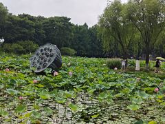 -玄武湖景区-情侣园游乐场