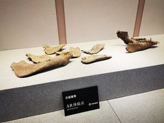 -良渚博物院