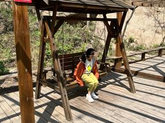 -大岭沟猕猴桃谷风景区