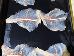-京门活鱼馆·鱼火锅(百子湾（原红庙）店)
