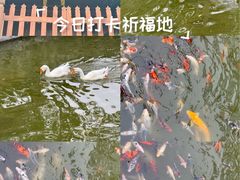 -苏州文庙(姑苏区)