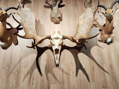 -陕西自然博物馆