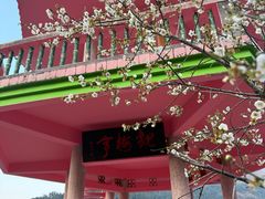 -广州市流溪河国家森林公园