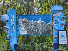-广东惠东海龟国家级自然保护区
