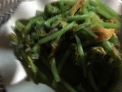 南瓜花炒南瓜尖-傣泐金湾餐厅