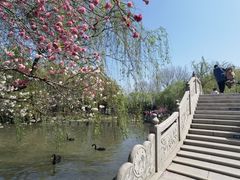 -扬州市茱萸湾风景区