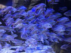 -成都浩海立方海洋公园