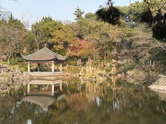 -叶家花园