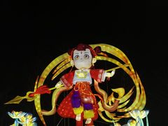 -武汉园博园(武汉自然博物馆)