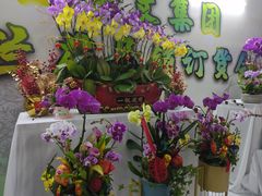 -三亚游船旅游中心(三亚鹿回头游艇游船公共码头店)