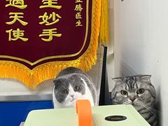 -宠福鑫动物医院(立水桥分院)