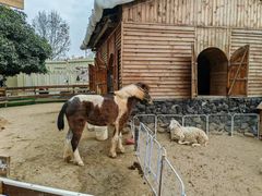 -HERRE·FARM 赫尔露营农场·团建聚会包场