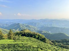 -莫干山风景区