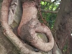 -北部湾广场