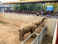 -西霞口神雕山野生动物世界