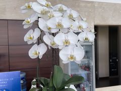 -天津波士信达奔驰4S店(卫津南路店)