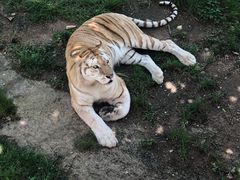 -西霞口神雕山野生动物世界