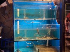 水产区-Thai Basil罗勒叶泰式餐厅(时代天街店)