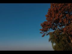 -漕湖湿地公园