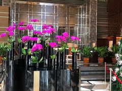 -天津君隆威斯汀酒店