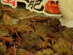 -鲤鱼洲酒店港鲤咖啡厅