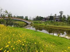 -白鹭湾湿地公园